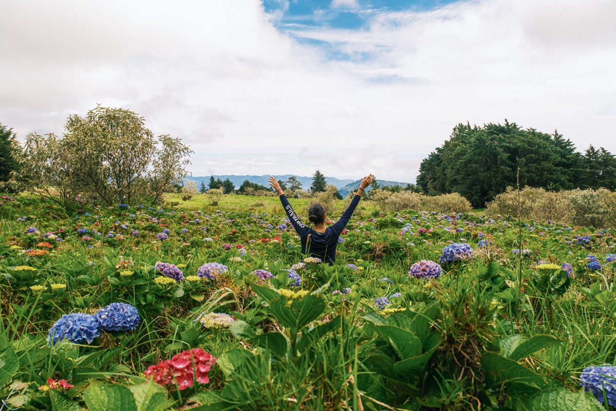 A person raises both arms amid a field of flowers.