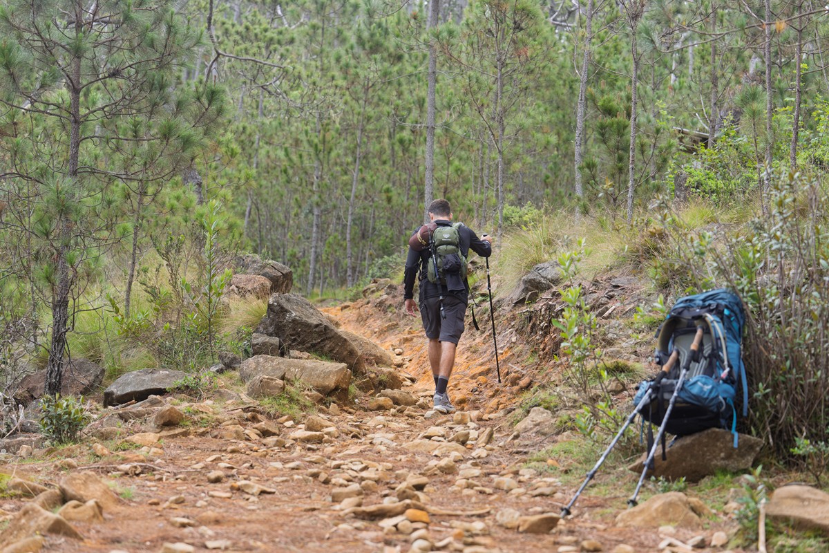Two walkers occupy a rough trail through young trees.
