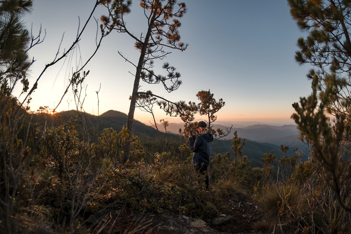 A figure passes between dark trunks as daylight fades.