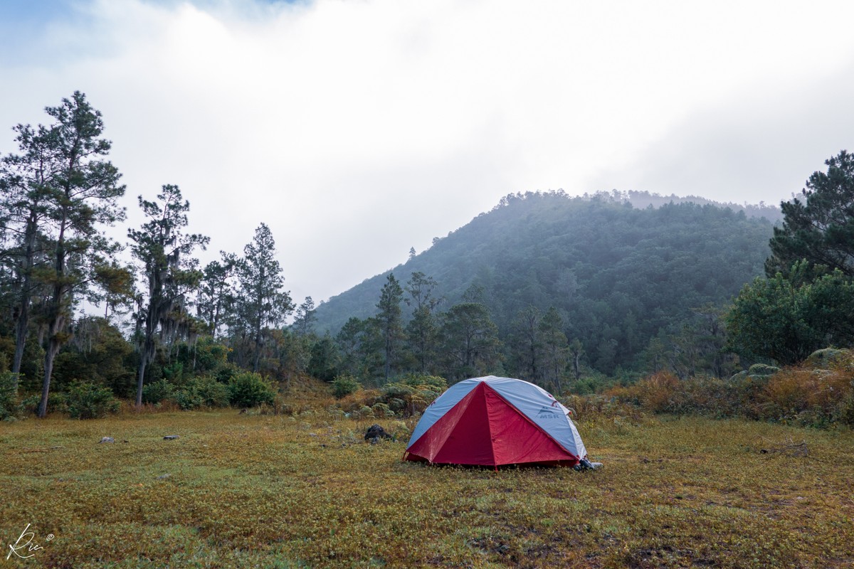 A small red-and-white tent stands in a misty meadow.