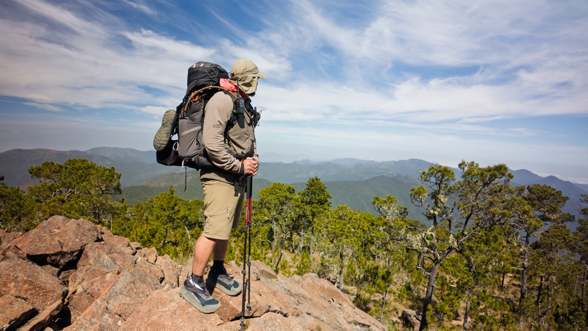 A backpacker stands on rocks above the forest canopy.