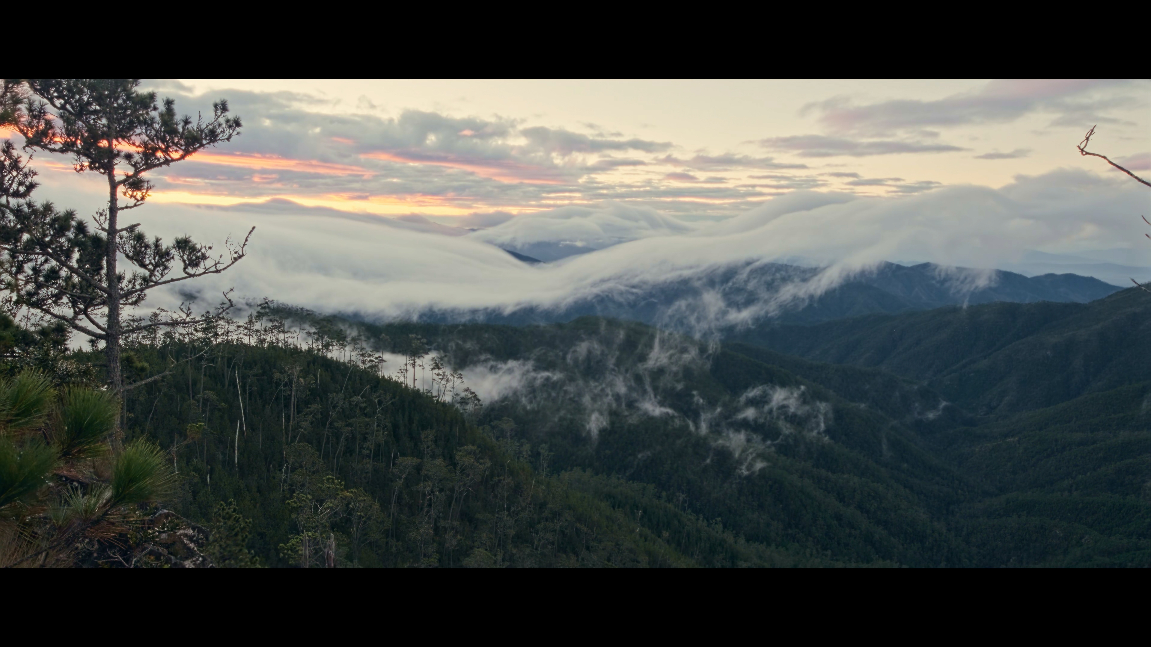 OVA / DOCUMENTARY STILLS