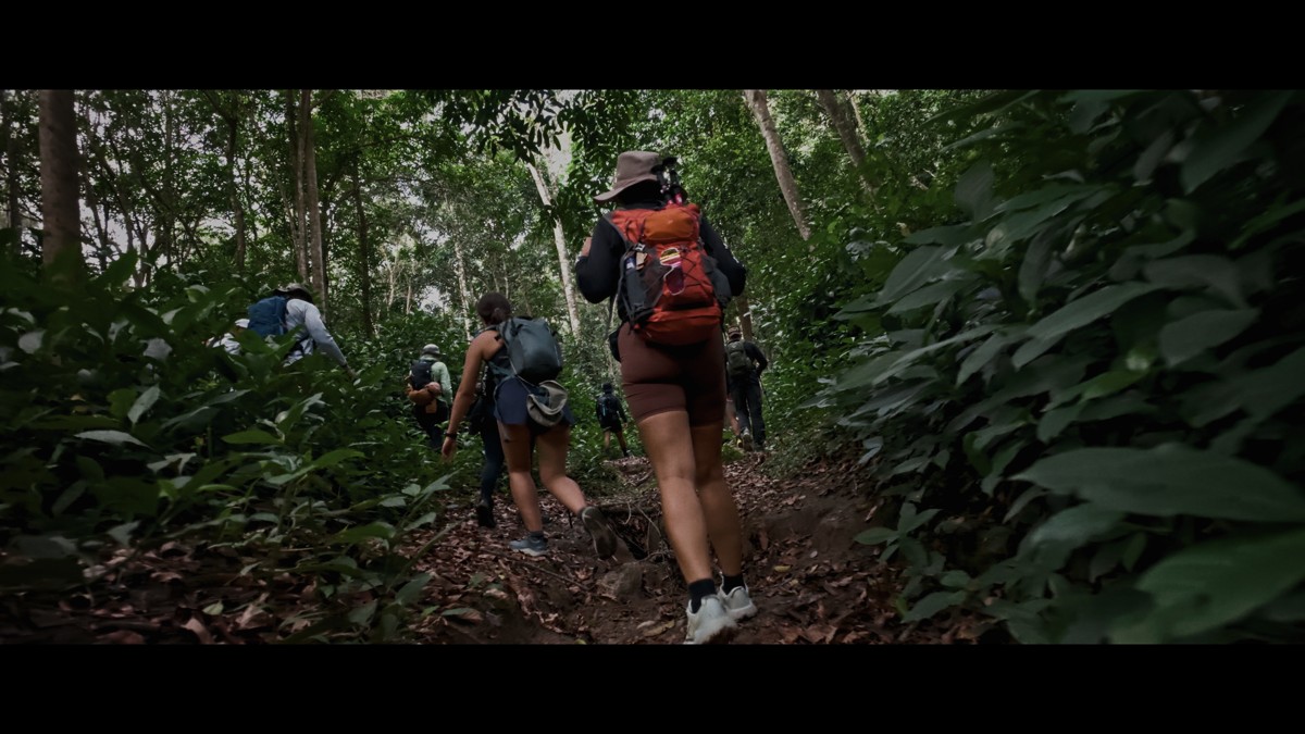 Backpacks disappear along a narrow trail through dense vegetation.