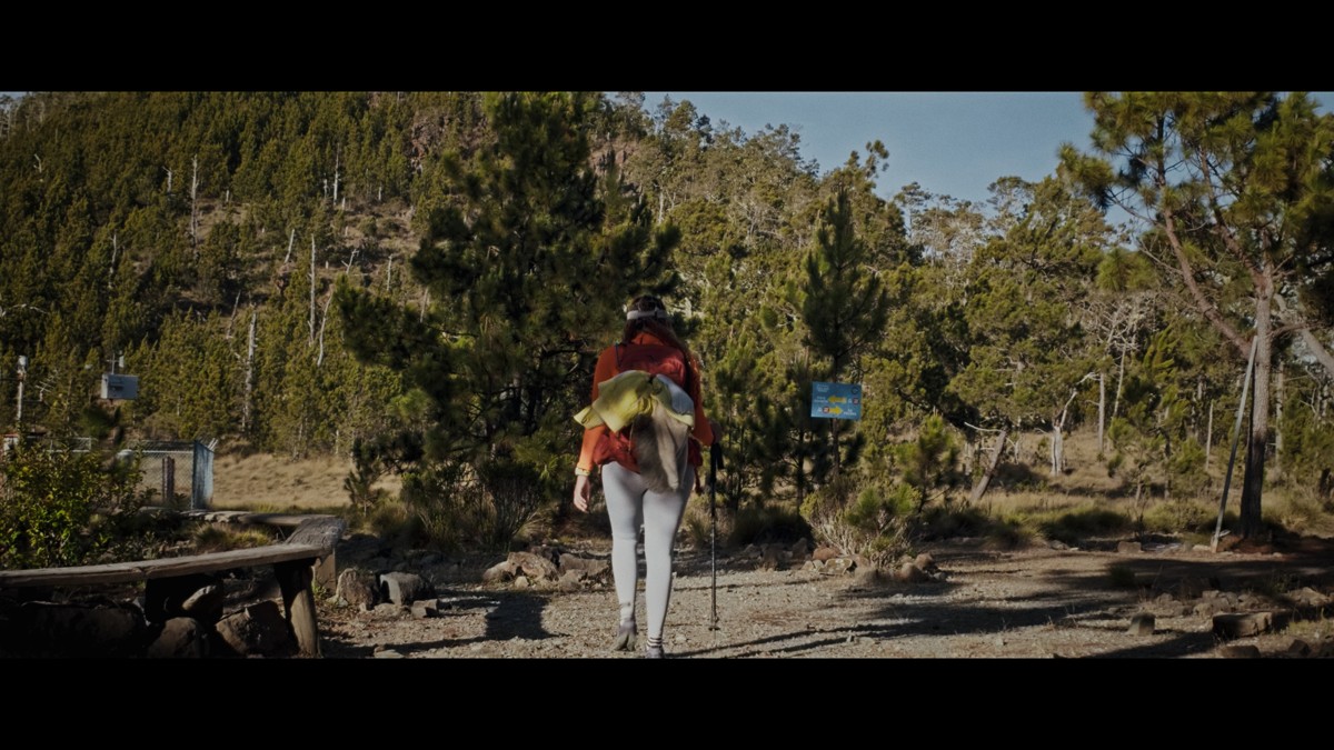 A backpacker walks through an open pine-forest campsite.