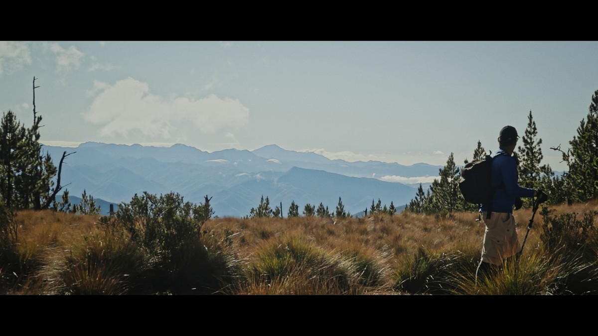 A hiker crosses tall grass with mountains stretching beyond.