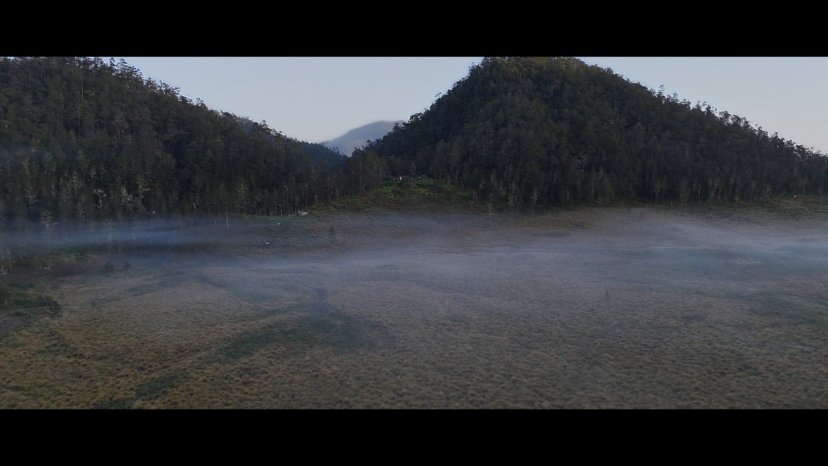 Low fog settles across an open valley between forested slopes.