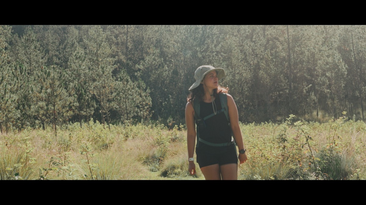 A hiker moves through a bright clearing at the forest edge.