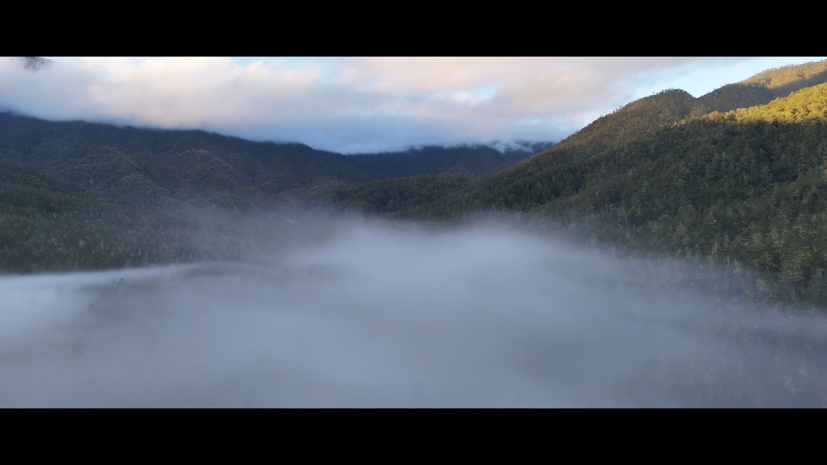 Mist fills the low ground between softly lit hills.