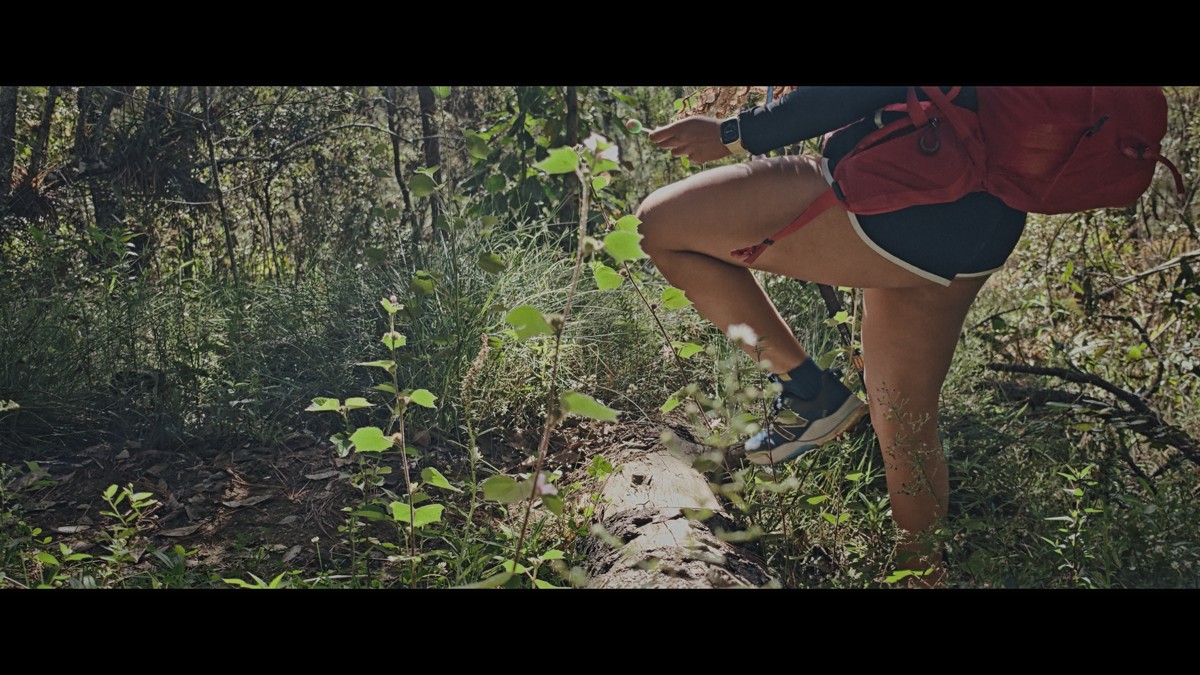 A close frame catches a hiker lifting a leg on a steep trail.