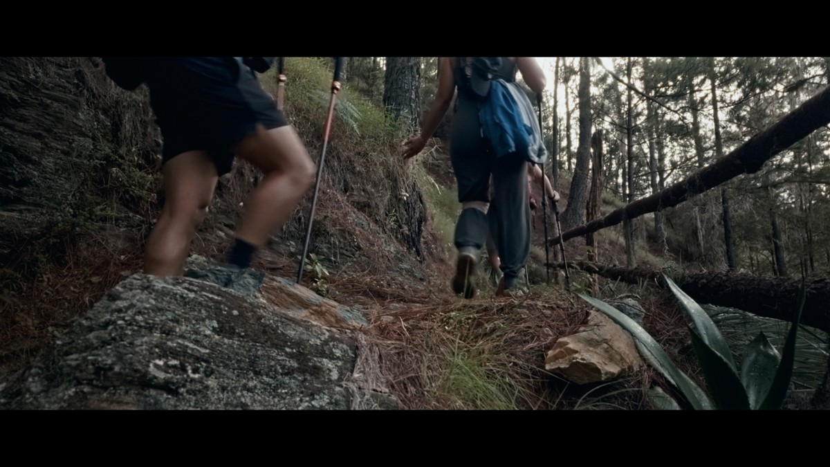 Hikers step through a rough passage of trees and rocks.