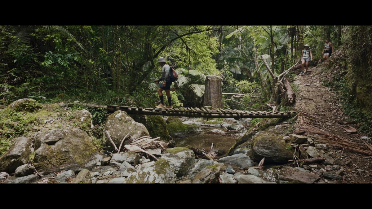 A hiker crosses timber planks above a rocky forest stream.