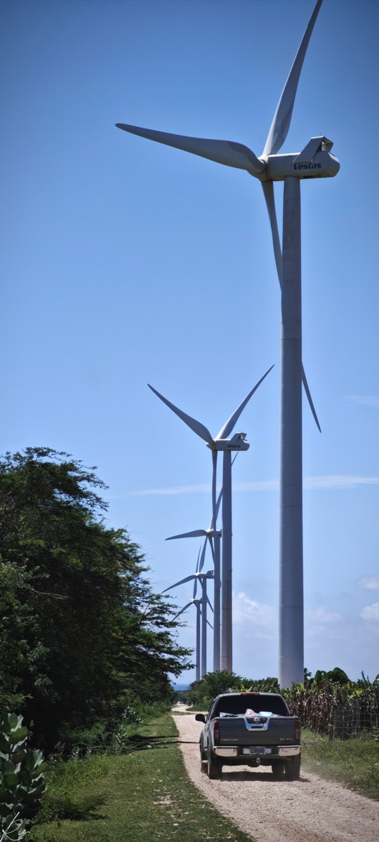 Vehicles follow a track beneath tall wind turbines.