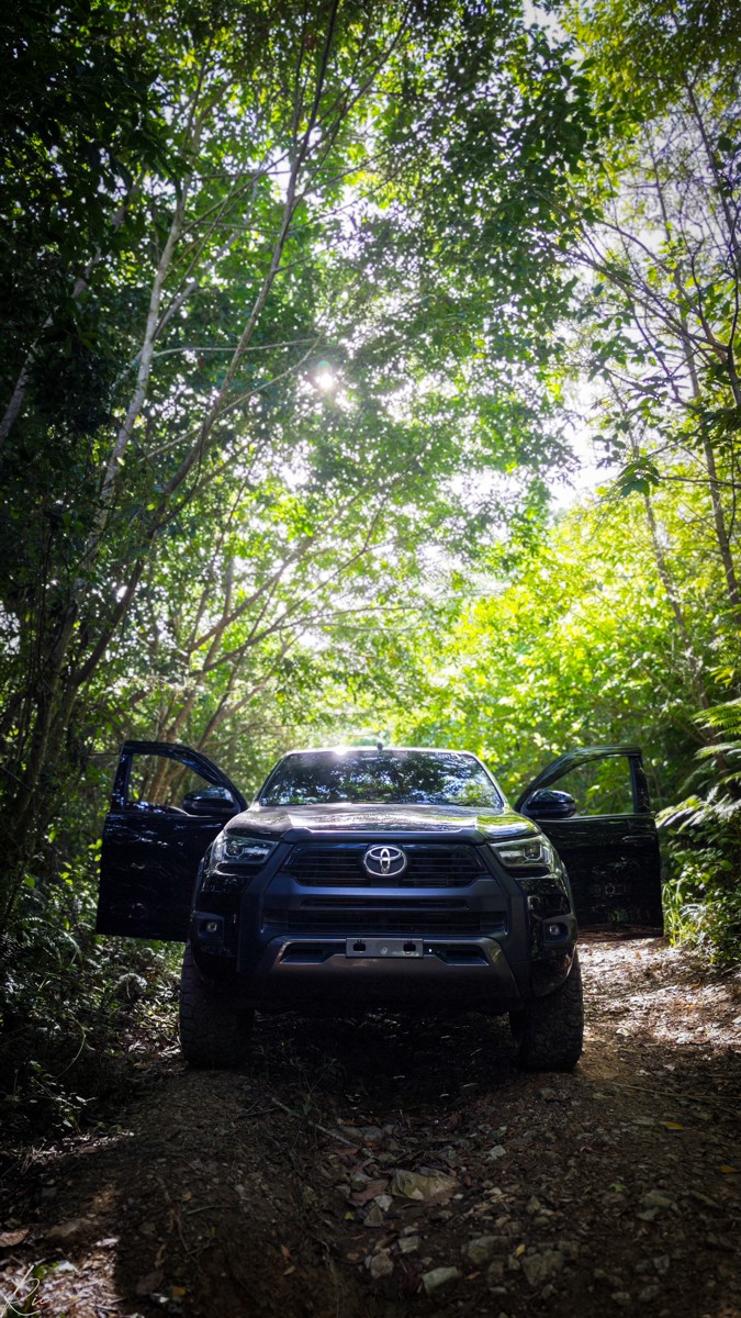 A dark vehicle sits beneath dense branches with a door open.