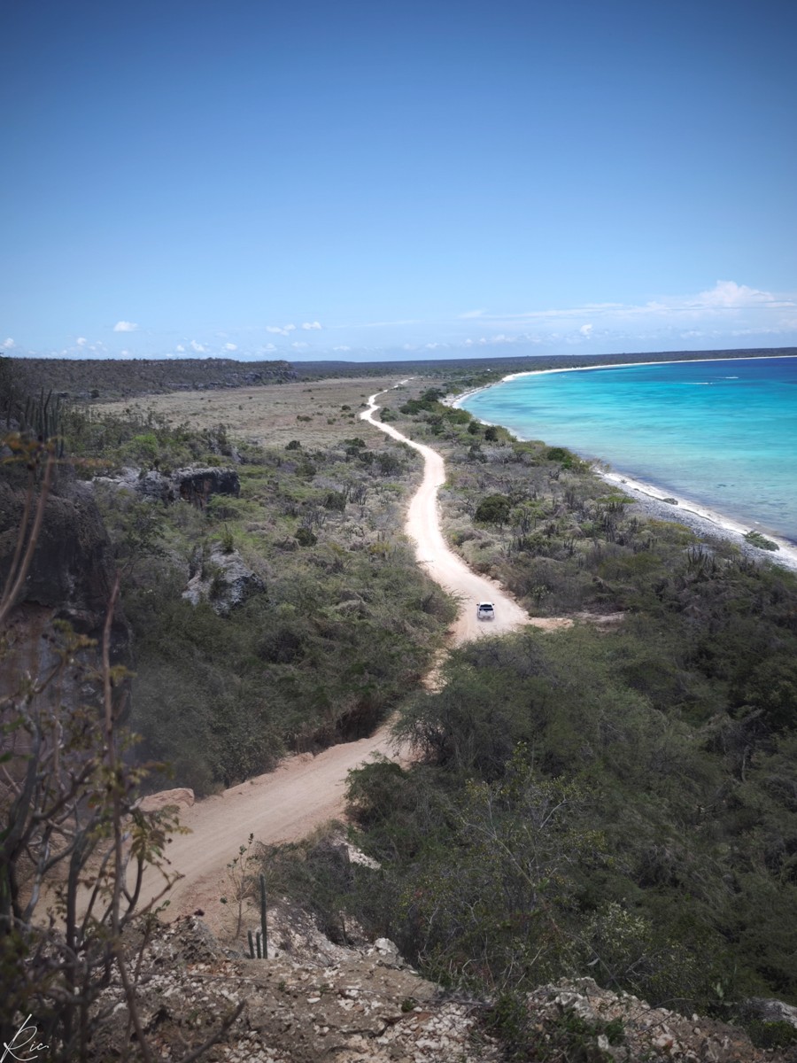 A pale dirt track follows the edge of vivid turquoise water.